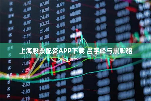 上海股票配资APP下载 吕宇峰与黑脚貂
