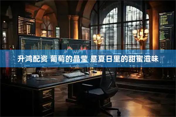 升鸿配资 葡萄的晶莹 是夏日里的甜蜜滋味