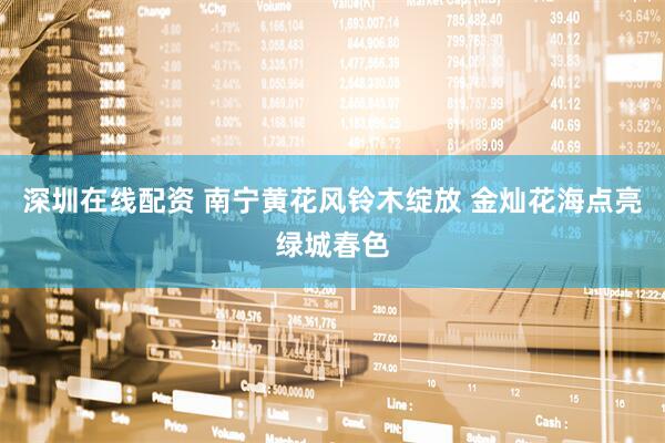 深圳在线配资 南宁黄花风铃木绽放 金灿花海点亮绿城春色